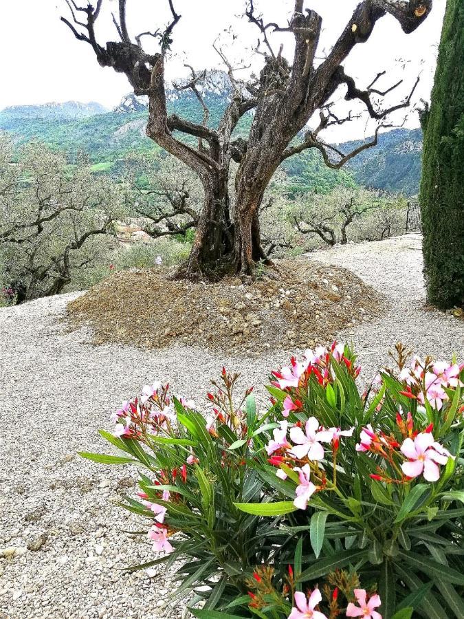 Le Mas Christiane Buis-les-Baronnies Exteriér fotografie
